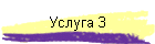 ������ 3